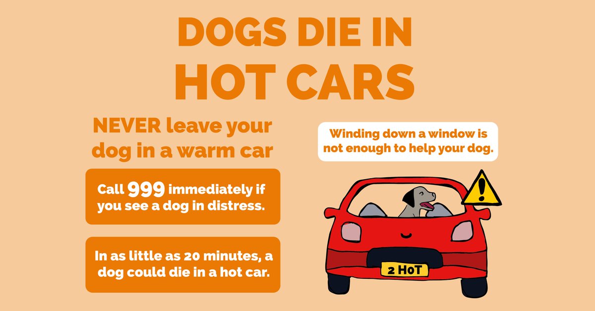 Edinburgh Dog and Cat Home tweet media