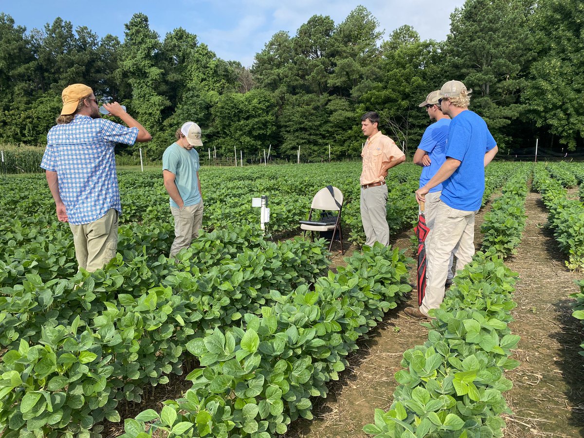AShekoofa's tweet photo. My grad students and postdoc sharing their experiences in crop physiology research with undergraduate REEU interns at WTREC. @SayantanAg @kendallSheldon2 #REEU #research #extension #PLSC #waterconservation #soybeans https://t.co/3iqErFyl9u