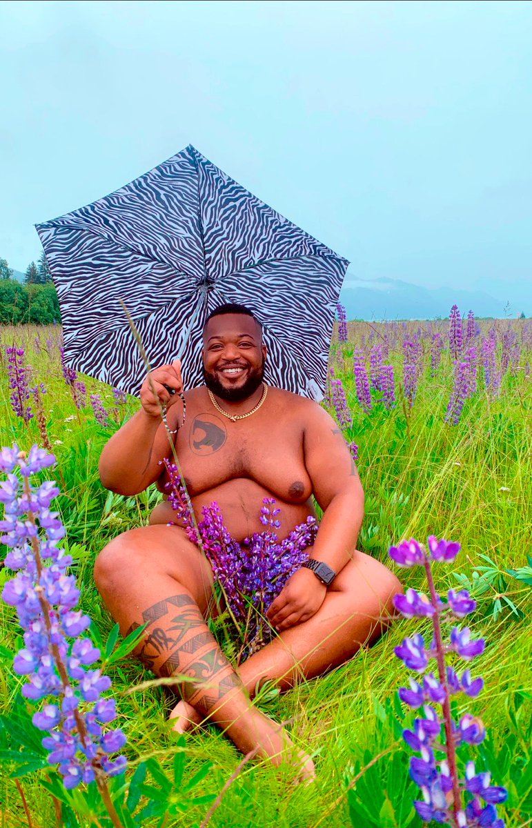 BigTimbo84's tweet photo. A day lounging among the lupines, is a day we’ll spent. Foggy Mountain View’s are a plus! #alaskansummer https://t.co/Mg1XGAcOnI