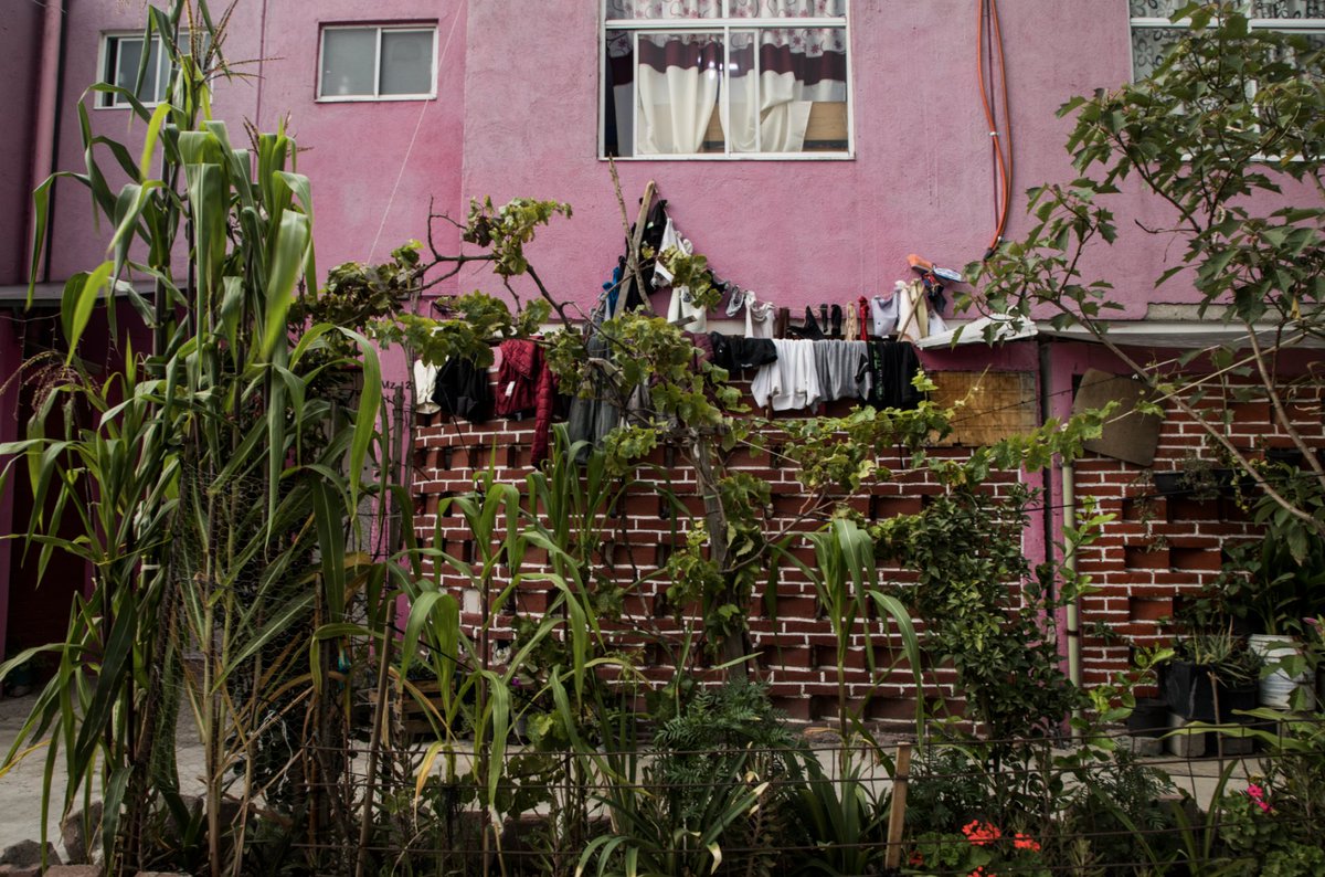 Desinformemonos's tweet photo. #México Aquí no entra la policía; tampoco el coronavirus ni el narco tienen permitida la entrada a la Cooperativa de Vivienda Acapatzingo, donde, al pie del Cerro Yuhualixqui, dos inmensos muros metálicos delimitan el acceso a un pequeño mundo.

https://t.co/4fW6i5oLes https://t.co/S69em42VnV