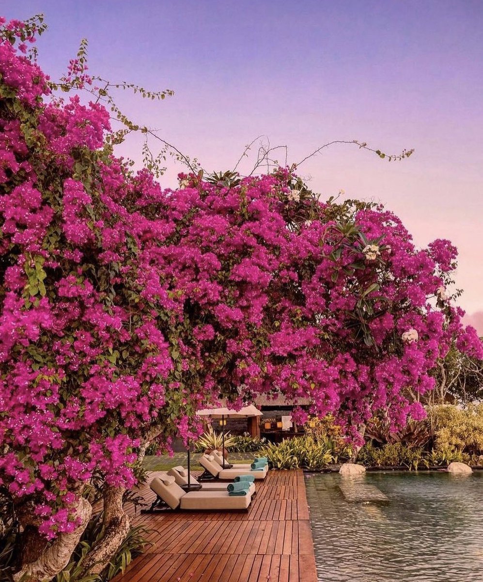 tmbIrpics's tweet photo. Beautiful place in Bali https://t.co/T7ZprxkdnL