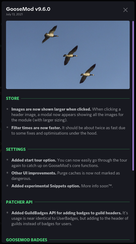 Goose_Mod's tweet photo. GooseMod v9.6.0 is now out! Features various improvements and tweaks like Store images modal, new settings, a new API, and other tweaks and fixes. Changelog attached, enjoy! https://t.co/UFzJxRT21J