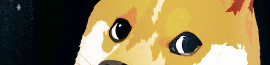 hey #dogearmy who’s ready for the #dogecan 👀