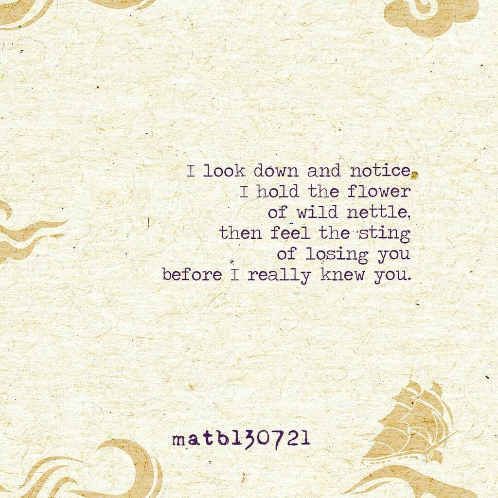 MarkATBullock's tweet photo. I look down and notice
I hold the flower 
of wild nettle, 
then feel the sting 
of losing you
before I really knew you.

#write #writer #writers #writersofig #writersofinstagram #writing #wordgasm #poet #poets #poetsofig #poetsofinstagram #poetry #poetry… https://t.co/YPDmxqfu2d https://t.co/lps4pXVZGu