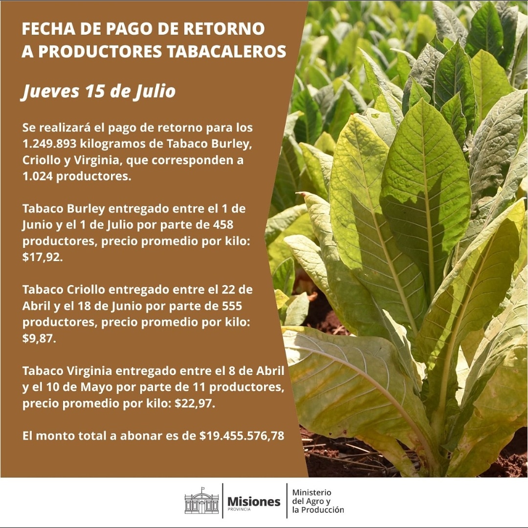 Comunicamos que este jueves 15 de Julio se realizará el pago de retorno para los 1.249.893 kilogramos de Tabaco Burley, Criollo y Virginia, que corresponden a 1.024 productores.