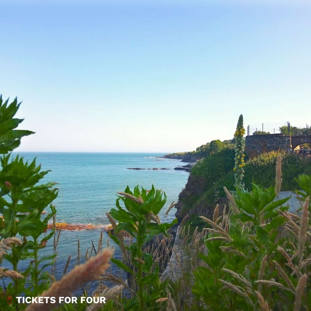 TicketsFour tweet picture