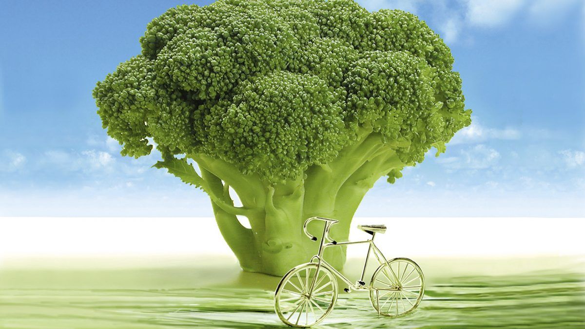 nutrition_facts's tweet photo. There is a food that offers the best of both worlds—significantly improving our ability to detox carcinogens like diesel fumes and decreasing inflammation in our airways—all while improving our respiratory defenses against infections: https://t.co/CDHGsJkBAd https://t.co/7BWSxIi9X1