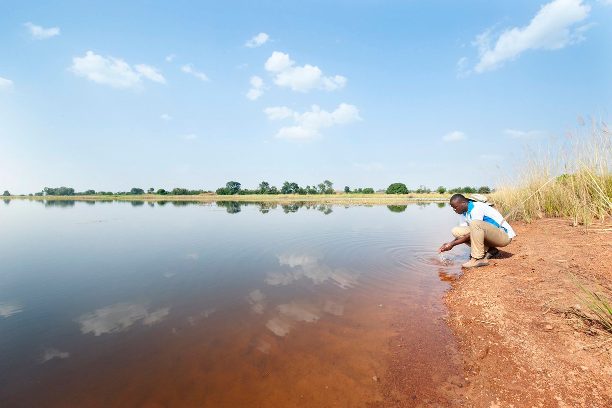 CGIAR_Data's tweet photo. 🆕 study finds that the #malaria impact of dams in #Africa🌍 is far greater than previously recognized.

📑Read the full #openaccess paper: https://t.co/vSAxpvD6rV @WLE_CGIAR @CGIAR https://t.co/hHLvLtK9gQ