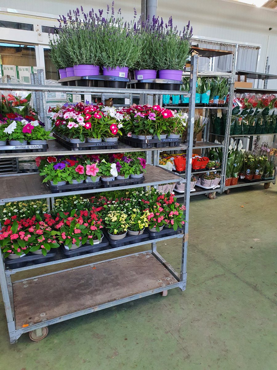 binsoft_ca's tweet photo. Els clients contents repeteixen. Un majorista de flors de #Vilassar tenia un #cashdro3 i després de 3 anys d'un rendiment òptim, fa el canvi a un #Cashdro7 Possiblement uns dels caixers més ràpid del mercat actual. Avui formació i configuració https://t.co/3PQIyeBFYU