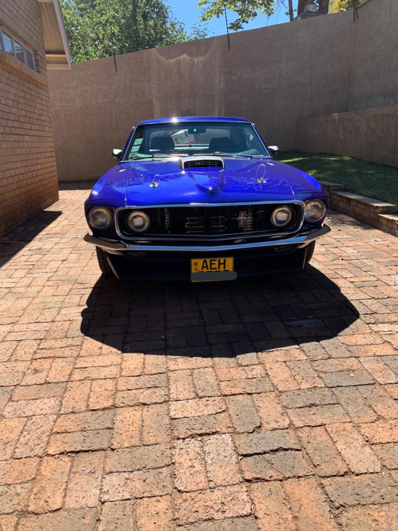 trevormabootz's tweet photo. When i say beauty.. i mean this mustang here... my all time favourite mustang in the country. Can't wait to take it out for a ride soon https://t.co/vBjXdJ76t4