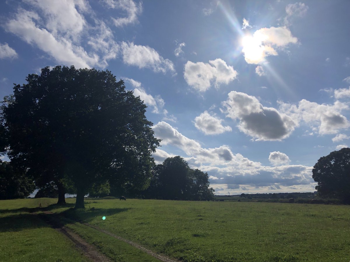 annawri's tweet image. Good to get running again it’s been a while! Especially on evenings like this! #spofforth #postpartum