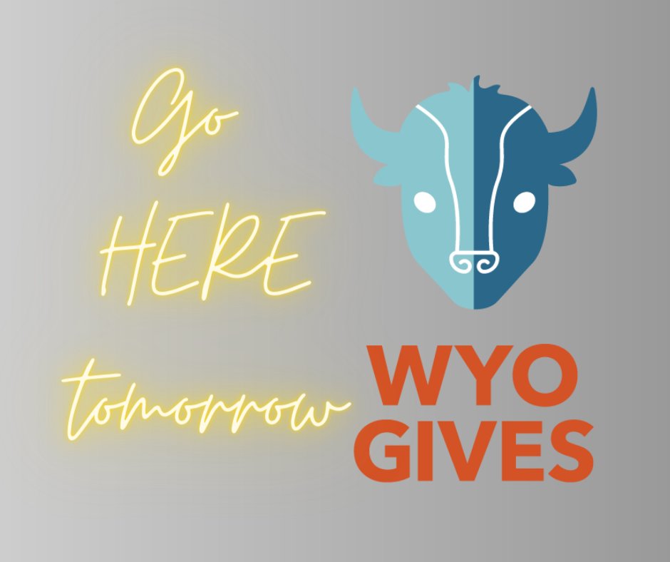 WCADVSA's tweet image. wyogives.org/organizations/…