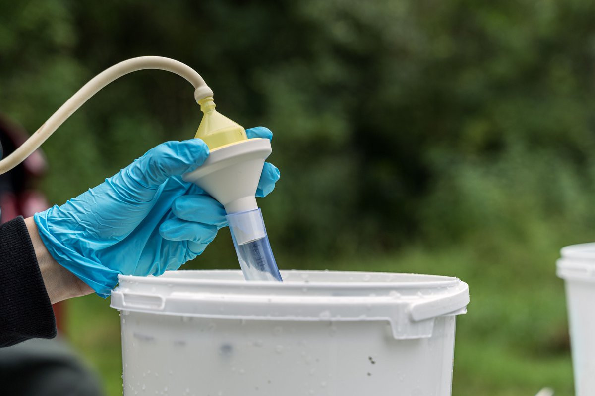 TillMacher's tweet image. Despite some rain we had a successful sampling day at the #Lippe today with @SchuetzRobin and @KamilHupalo! Also, first time using @SmithRoot eDNA filters to filter a total of 45 liters in just a couple of hours! Excited to extract eRNA &amp;amp; eDNA in the coming days! 🧬🐟🦌🦞🪱