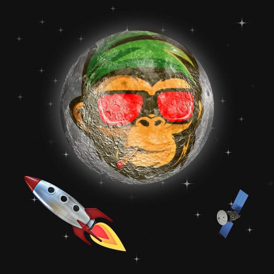 “Retweet” if you think #bubba is going to the moon 
🚀 🚀 🚀 🚀 🚀
#BUBBA 
#bubbaarmy  
#bubbafamily #feg #FEGtoken #FEGfamily