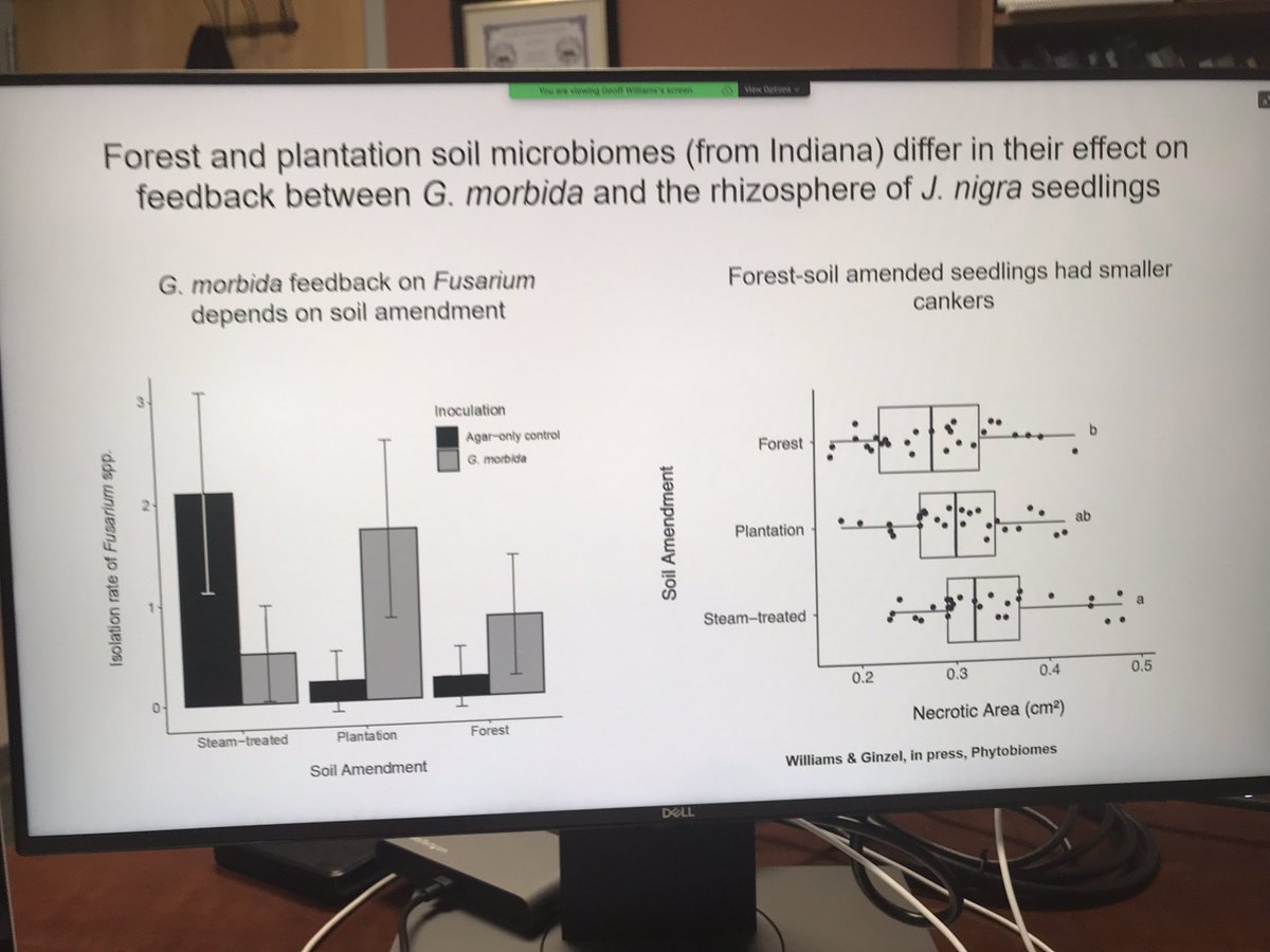 Dr. Denita Hadziabdic Guerry (@treehealthdoc) on Twitter photo My favorite quote from today-#walnuts are known as primadonna trees. Great job & super proud to be a part of your academic journey. Can’t wait to see what’s next! Congrats Dr. Williams! #foresthealth <a href="/PurdueInsects/">Purdue Entomology</a> <a href="/foresthealthG/">Geoffrey Williams</a> My favorite quote from today-#walnuts are known as primadonna trees. Great job & super proud to be a part of your academic journey. Can’t wait to see what’s next! Congrats Dr. Williams! #foresthealth <a href="/PurdueInsects/">Purdue Entomology</a> <a href="/foresthealthG/">Geoffrey Williams</a>