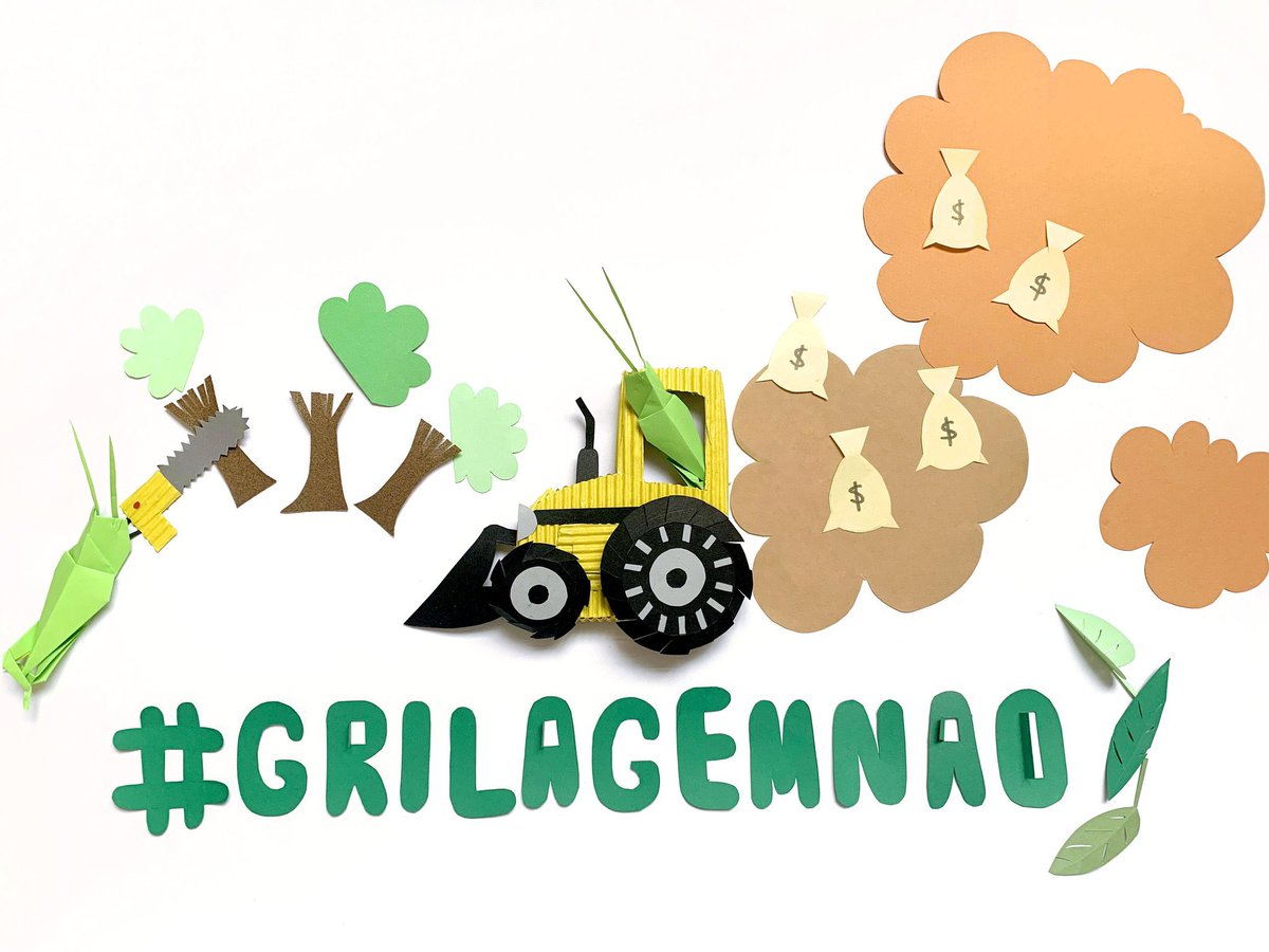 frenteclimadh's tweet photo. A grilhagem expõe as terras ao desmatamento. O desmatamento causa a mudança climática. #PL2633Nao #GrilagemNão #PL2633Não #grilagemnao https://t.co/ZZb2dcHBLy