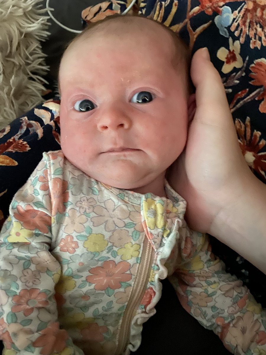 I didn’t think I could love another being as much  as I love Jace but here we are 🥺