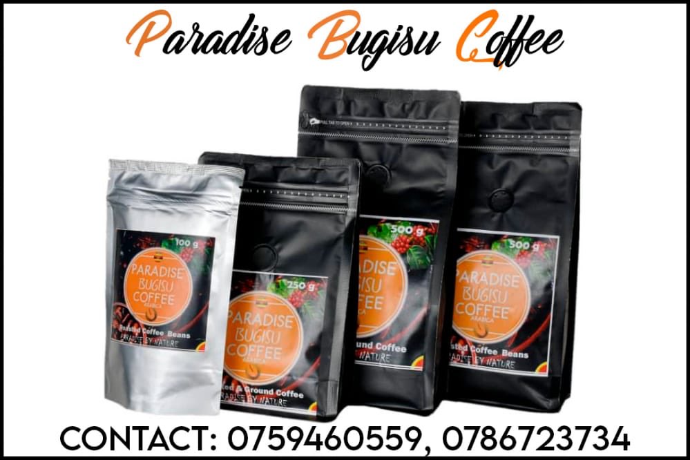 bugisu_coffee's tweet photo. Bugisu Pure Arabica Coffee. Contact @Annfredah  for delivery on 0759460559 &amp; 0786723734 https://t.co/cn7hkkbhCC