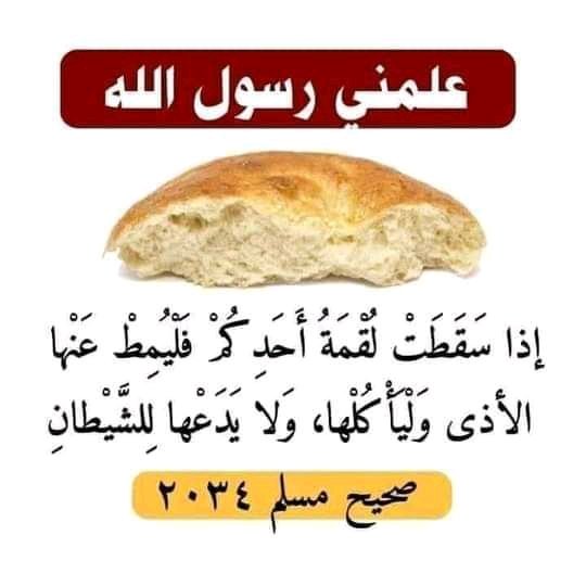 Hani Alshref (@alshrefhani) on Twitter photo 