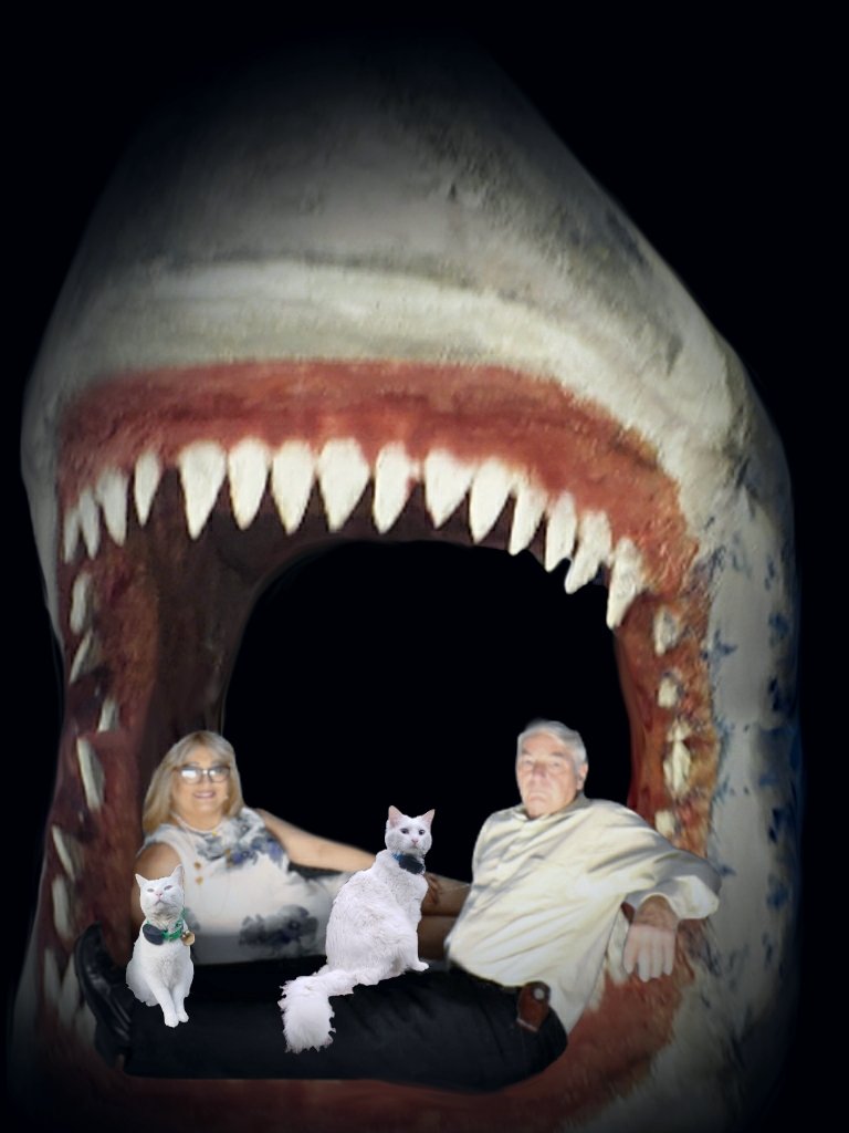 Mama said it is #sharkweek!