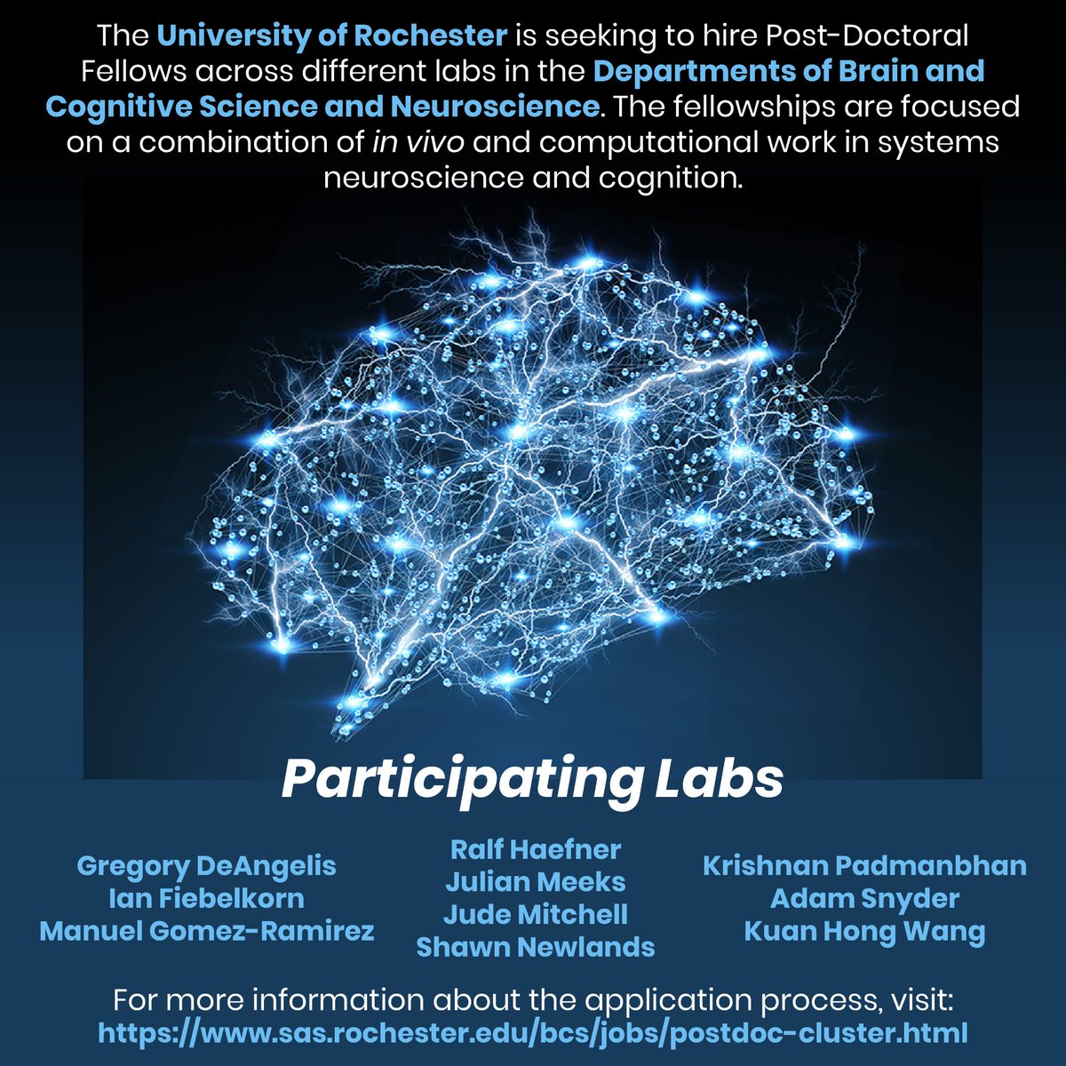 Manuel Gomez-Ramirez tweet media