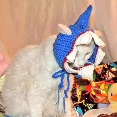 Sharks can have the water!
#sharkweek