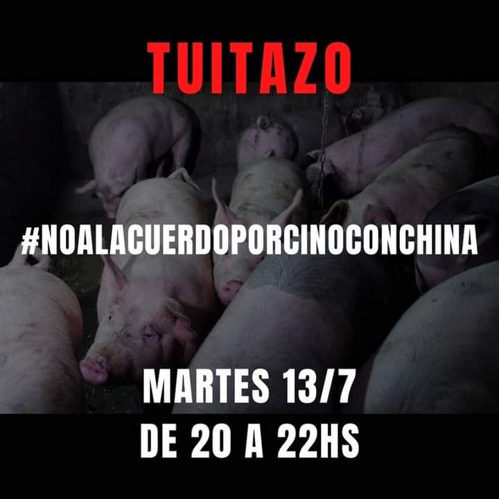 LucasAnimalito's tweet photo. https://t.co/Q759uRvAsl