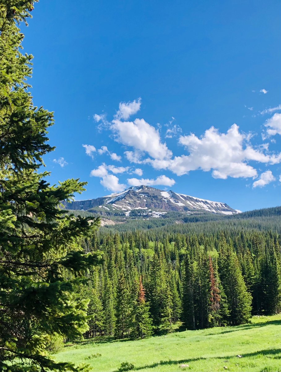 The Flat Tops Wilderness is the second-largest Wilderness in Colorado and a short, scenic drive from Steamboat. Spend a day or two taking in the scenic views and endless recreational opportunities, we promise you won't regret it! #VisitSteamboatSprings #thegreatwest #colorado