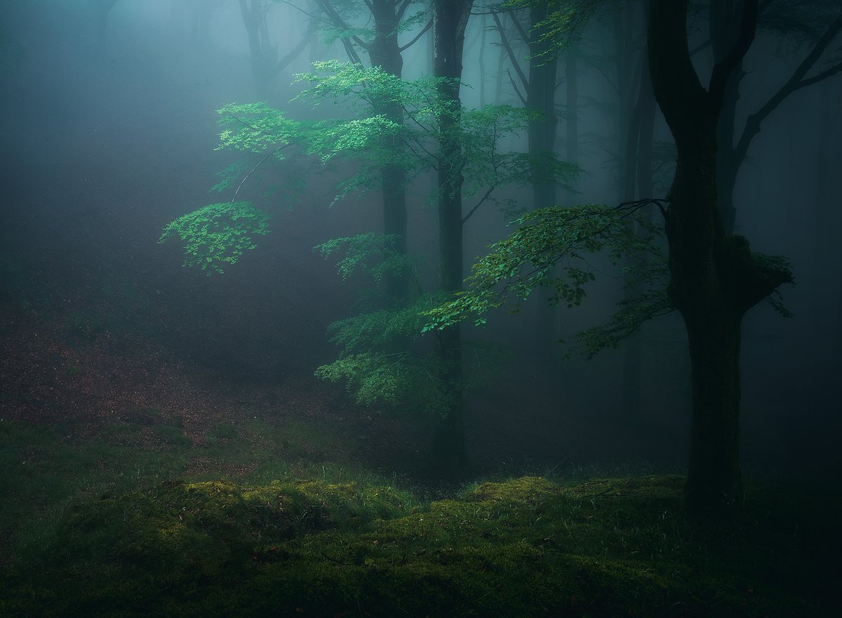 Hi! Two of my new works now available at @withFND  

👉foundation.app/@dmh

#NFTCommunity #nftcollector #nftart #landscapephotography #NFTartist