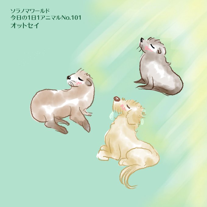 オットセイのtwitterイラスト検索結果