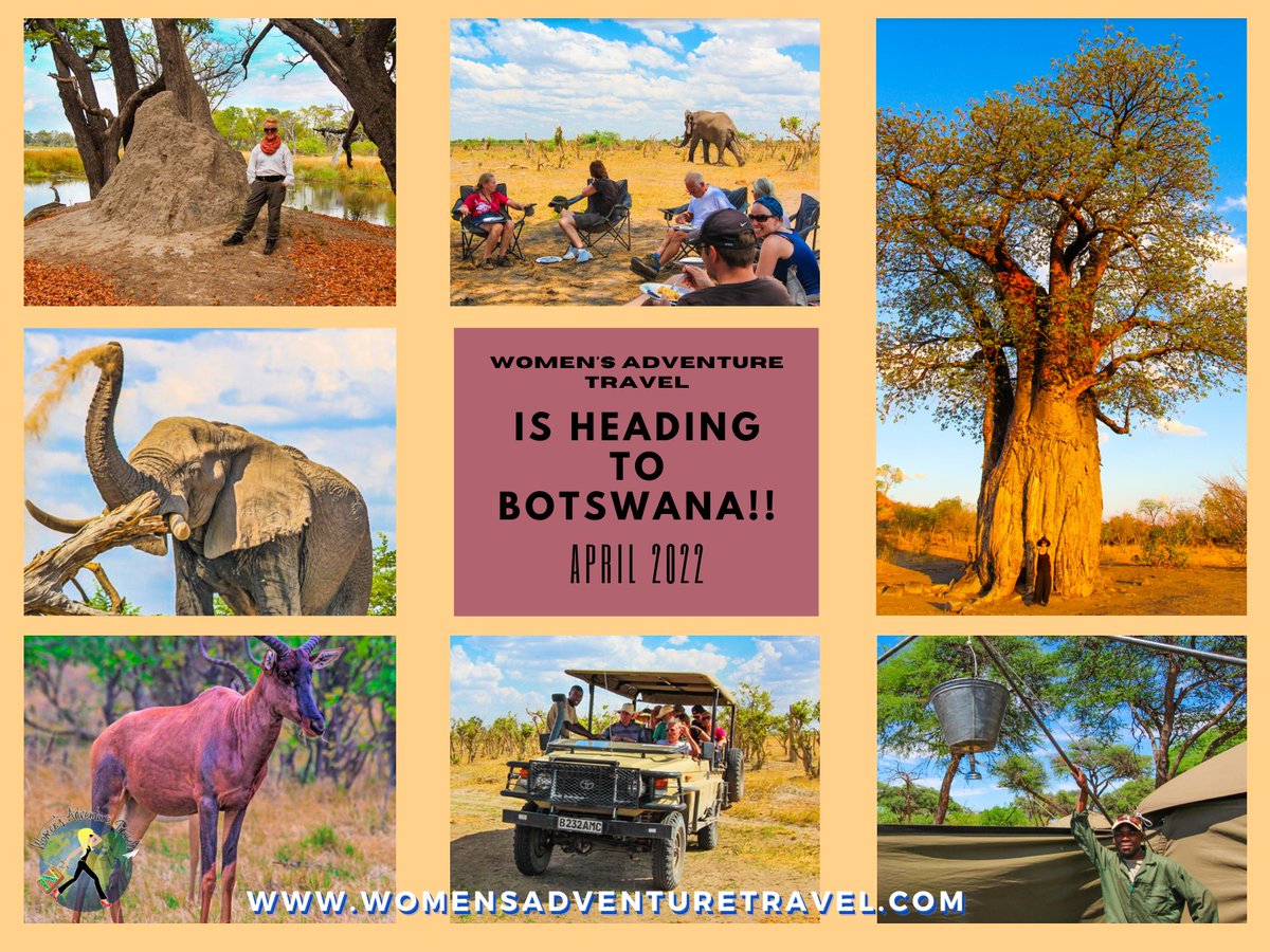 I moved WAT #Botswana trip to April '22. Hop on WAT's for deets: womensadventuretravels.com/botswana
To secure a spot, 20% deposit due Fri. 80% due Jan 1, 90 days prior to trip. PLZ Share! ?'s email: womensadventuretravels@gmail.com #luxurysafari #Solowomen #Africantravel #Womensempowerme