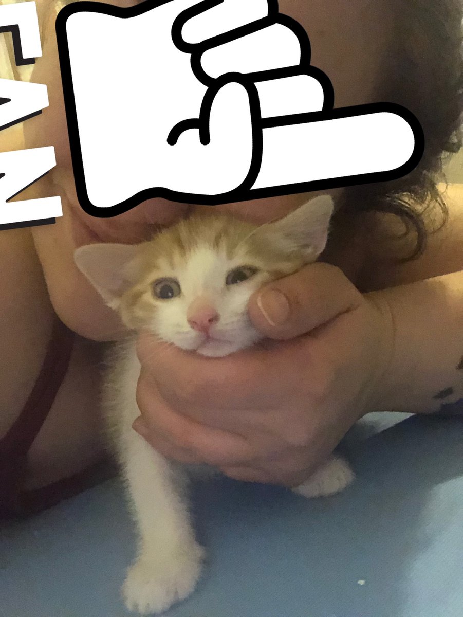 bu kim ve ndn öpüorsun tuçeçim?