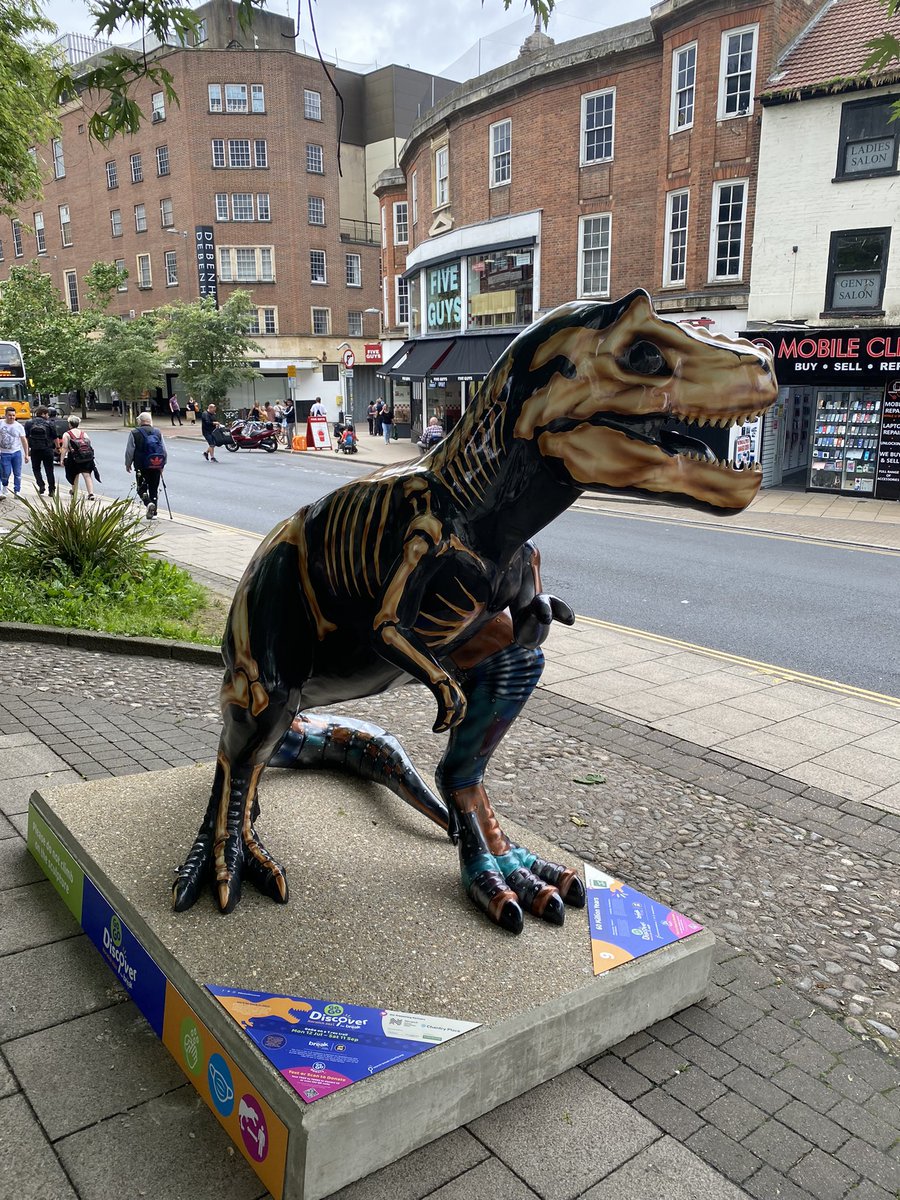 Don’t forget, my bones are not just for show. They glow in the dark 😱🦖 #superpower #GoGoDiscover