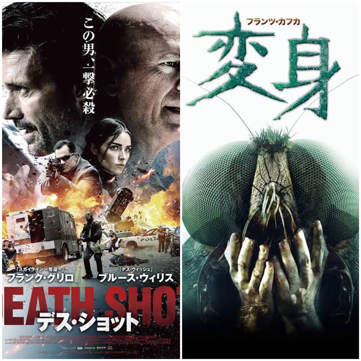 グロ作品❗️閲覧注意‼️未DVD『Death shotデス ショット』 VHS-