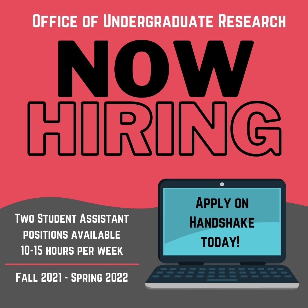 The Office of Undergraduate Research is thrilled to announce that we are hiring two student assistants for the 2021-2022 academic year! ⁠
⁠
All applications will be submitted through Handshake. Check the link in our bio for more information!