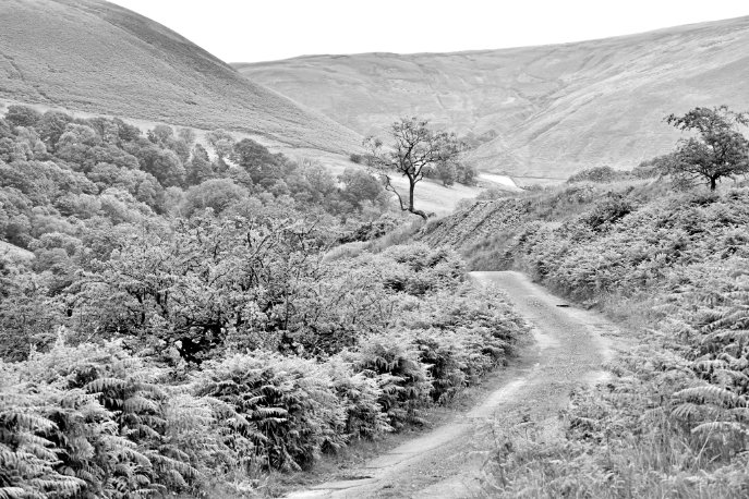 Christopher Davies tweet media