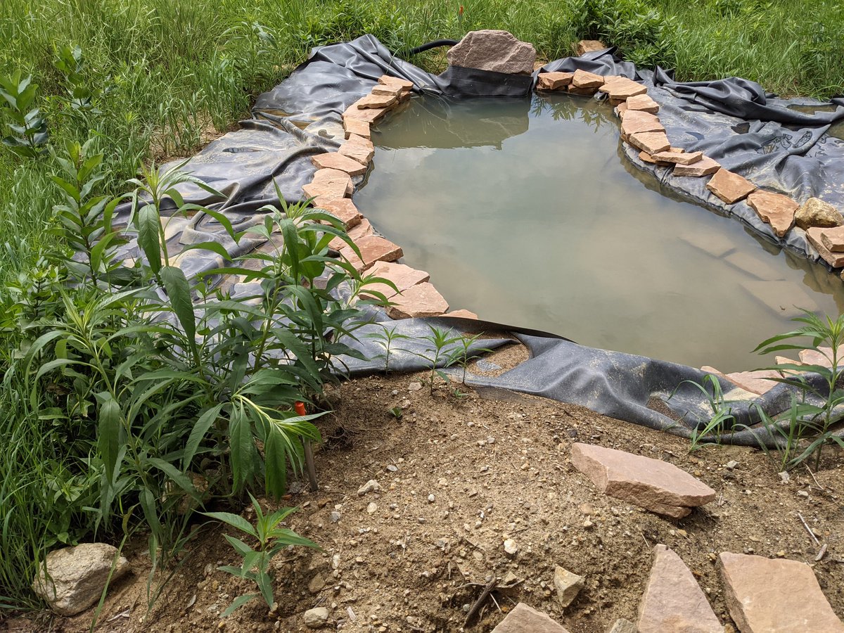 AAS Science, TEE, & FACS tweet media