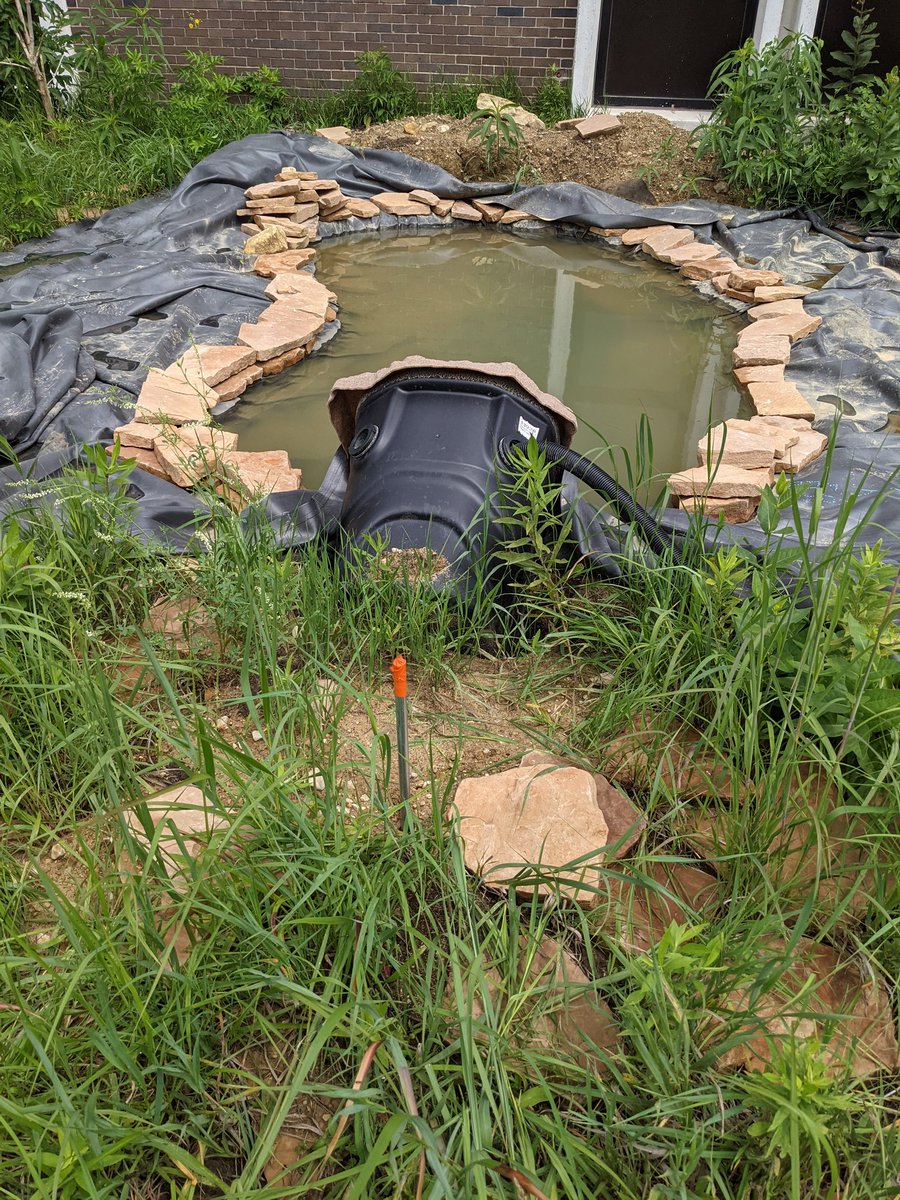 AAS Science, TEE, & FACS tweet media