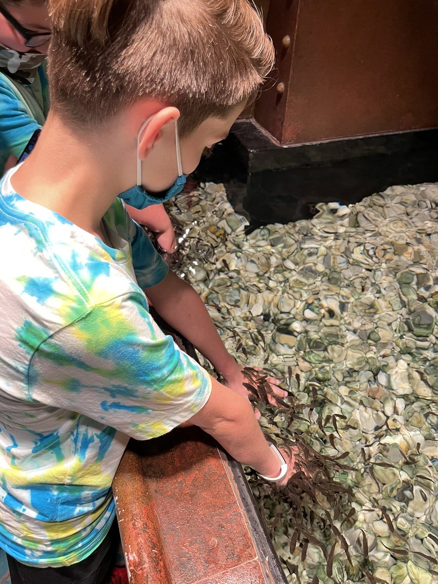 ms_murray19's tweet photo. Field Trip to the Aquarium at Union Station in St. Louis. I love giving my students experiences they normally wouldn’t have! https://t.co/HkqMYbMH9l