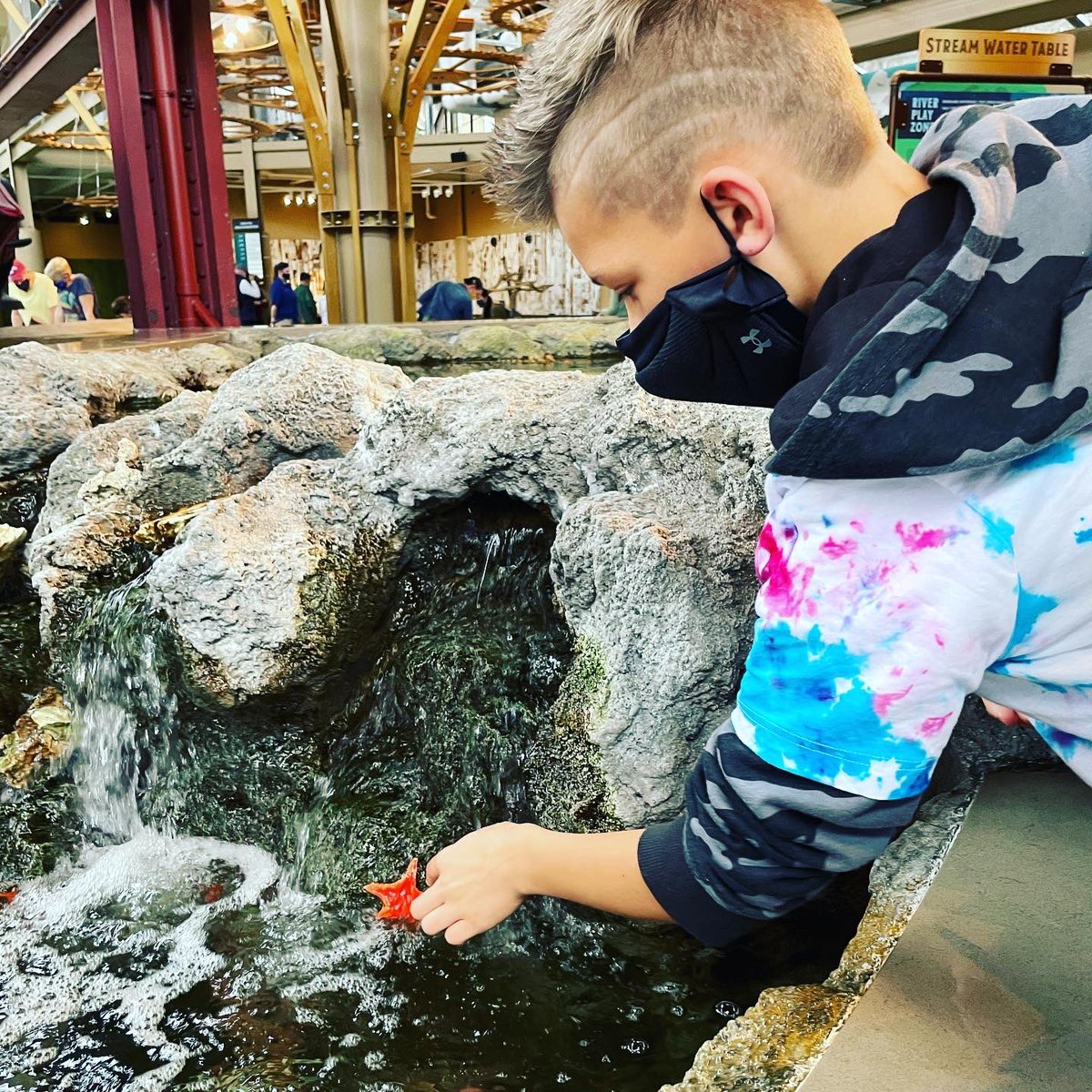 ms_murray19's tweet photo. Field Trip to the Aquarium at Union Station in St. Louis. I love giving my students experiences they normally wouldn’t have! https://t.co/HkqMYbMH9l