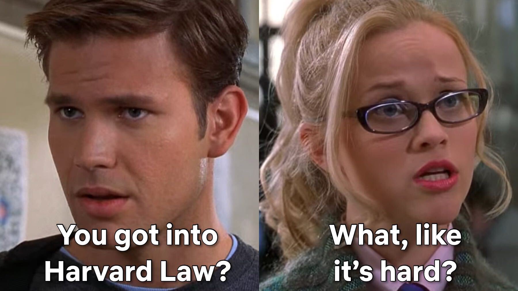 Legally Blonde Quotes Harvard