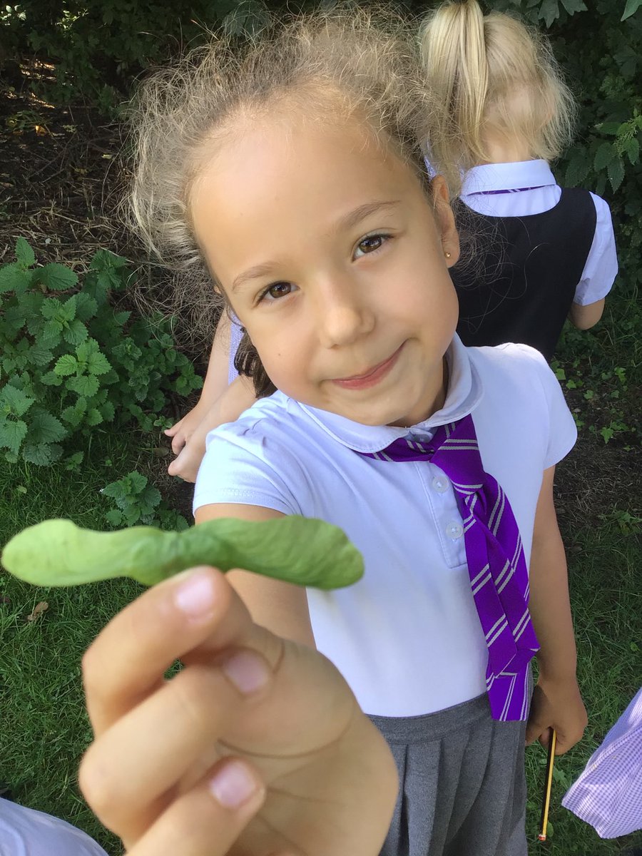 BirchwoodCE's tweet photo. Year1 have been exploring the woodland structure this afternoon and identifying leaves and trees as part of our #bcepsscienceweek #bcepsyear1 #bcepsscience https://t.co/JI1jMLzTaa