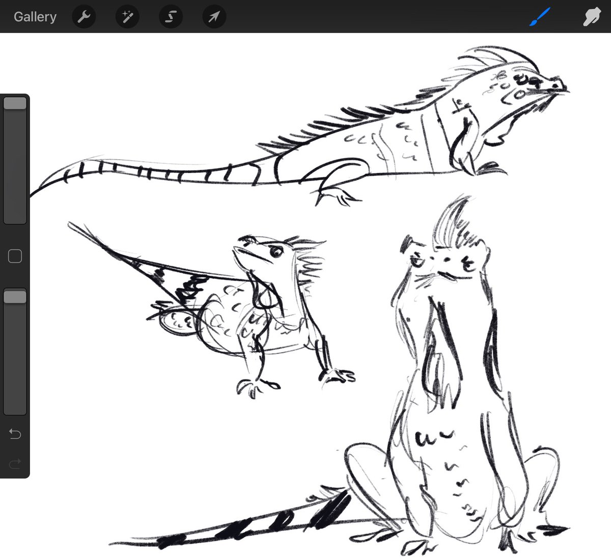 3 iguanas just ran up on me so naturally I tried to draw them 