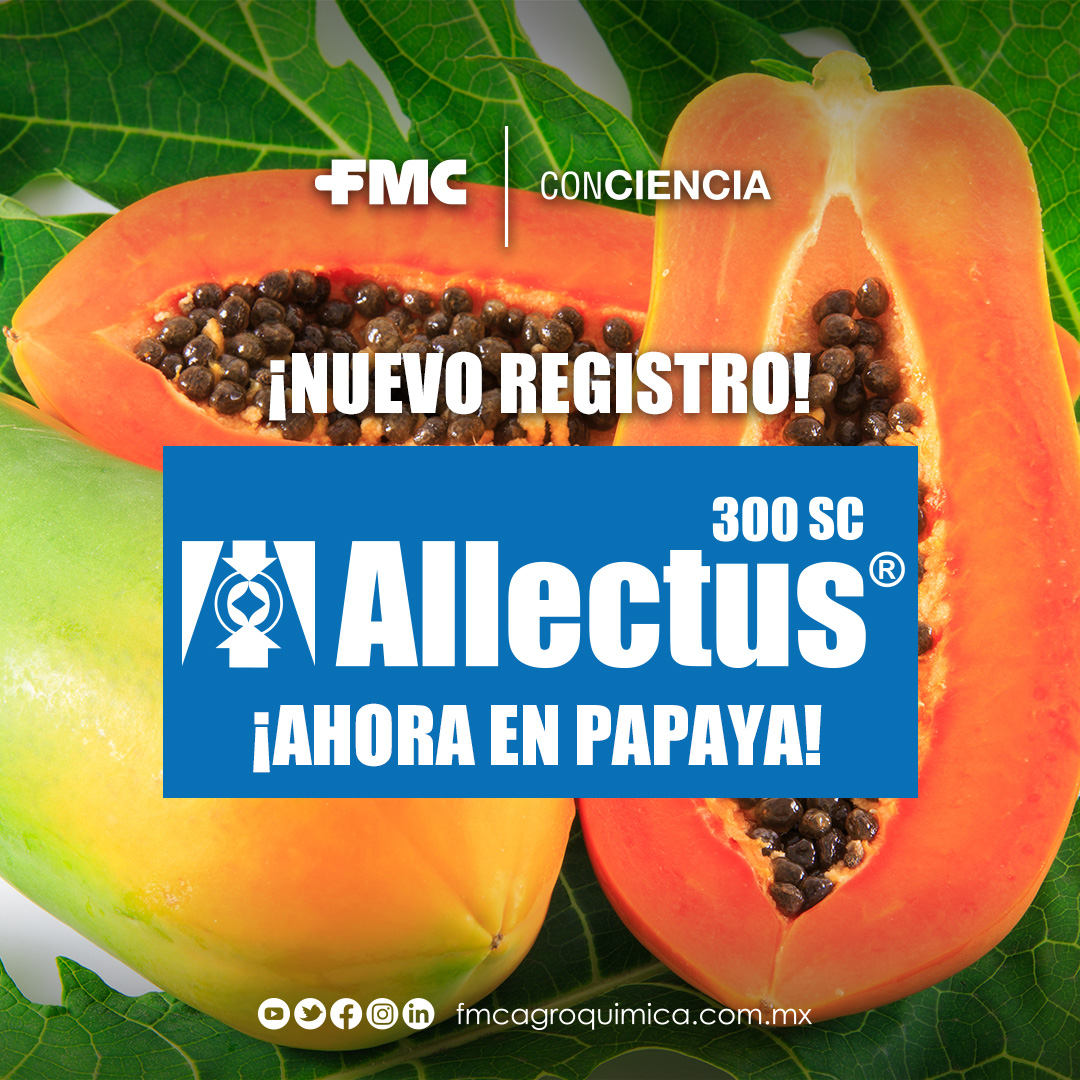 🚨Nuevo registro🚨
Allectus 300 SC es la #ProtecciónConCiencia que brinda doble protección a tus cultivos y ofrece mayor efectividad en el control de plagas.
👉Ahora utilízalo para brindar acción inmediata contra las plagas de papaya.🌱🙌