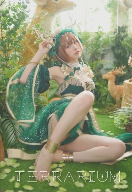 ☆新品未使用 えなこ写真集他 えなこりんセット 2021年夏新刊 新品未 