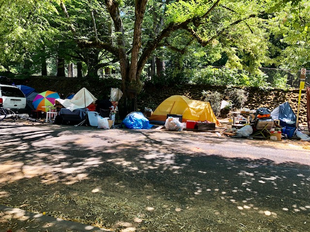 Laurelhurst Park PDX tweet media