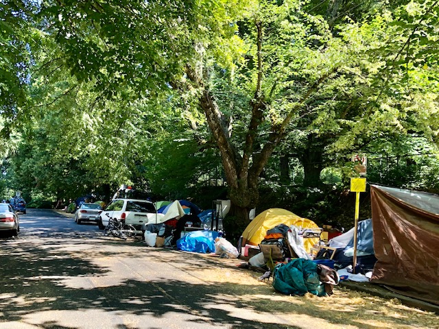 Laurelhurst Park PDX tweet media