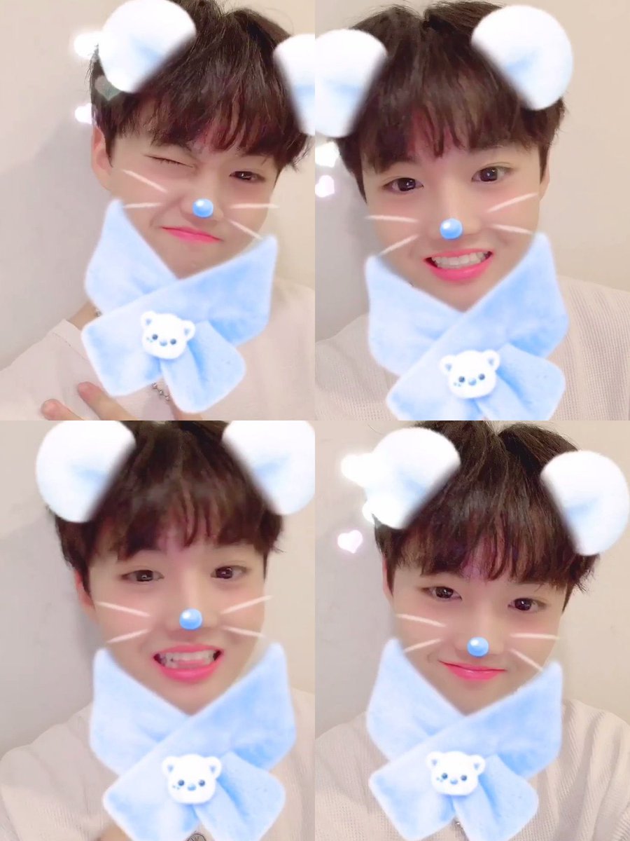 วันนี้ก็ขอให้สดใสและใจดีกับโดยองให้มากๆนะคะ 🐰💛🌻☀️

#GetWellSoonDoyoung
#튼튼도영 #DOYOUNG #TREASURE
#도영 #트레저 <a href="/treasuremembers/">TREASURE</a>