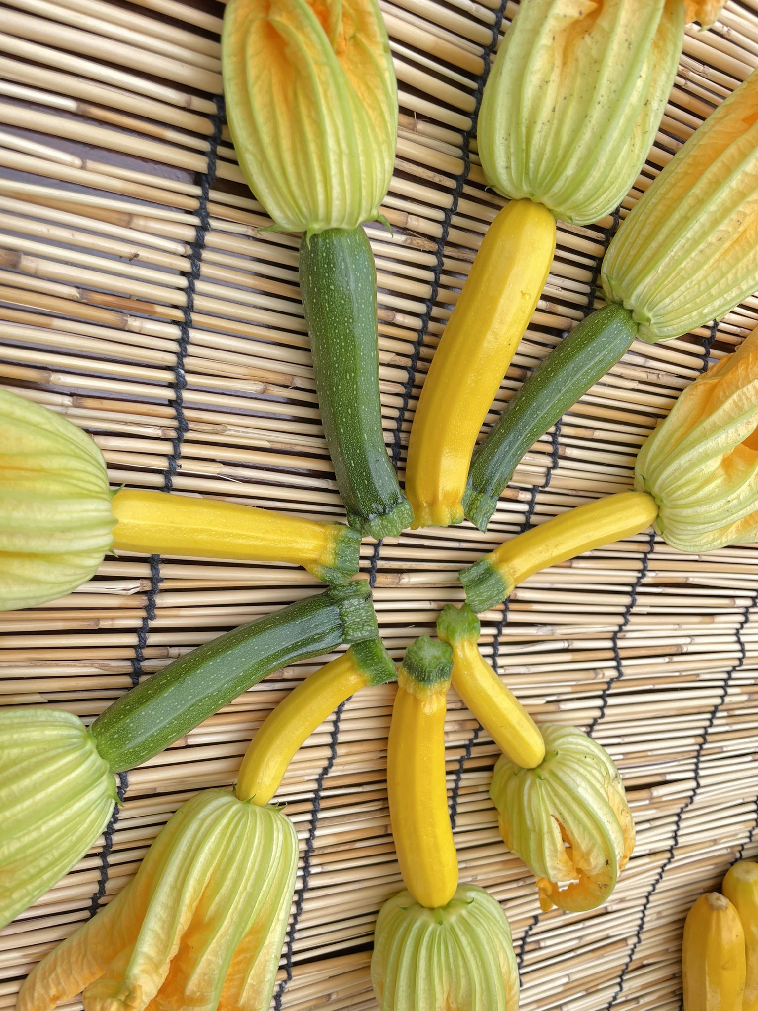 تويتر 五味農園 على تويتر 五味農園です 今日畑に行ってみると花ズッキーニとズッキーニが沢山できてました ズッキーニ は五味農園直売所で販売してます 花ズッキーニはinstagram Twitterのdmにて注文をうけつけようとおもってます 良かったらdmにメッセージ