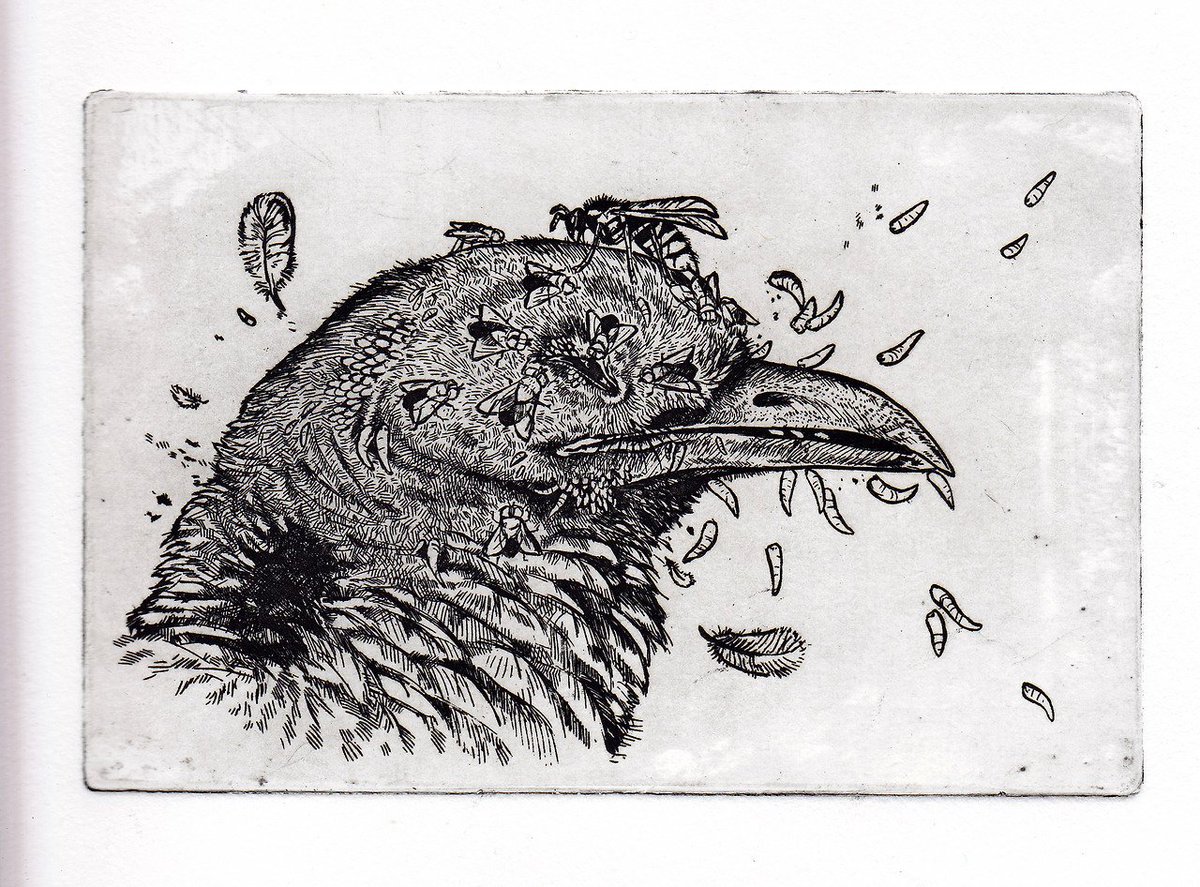 My favorite etches I made a few years ago, regarding decay and impermanence. I really enjoyed this technique too. 